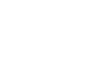 logo clinica de pymes